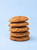 Snickerdoodle Cookie